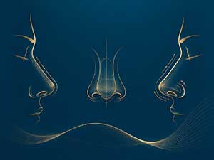How to save nasal contracture? From judgment to repair ideas